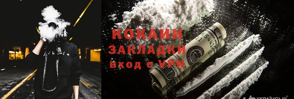 спиды Богданович