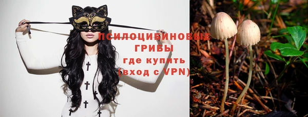 каннабис Бородино