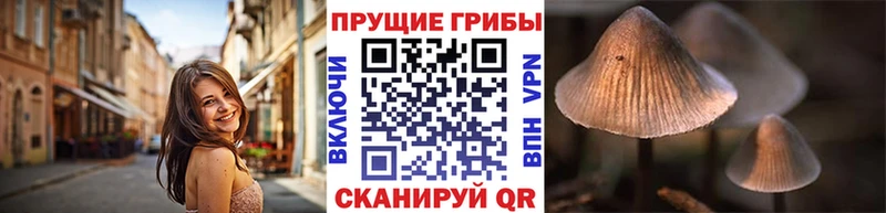 Купить где  Апатиты  Псилоцибиновые грибы ЛСД 